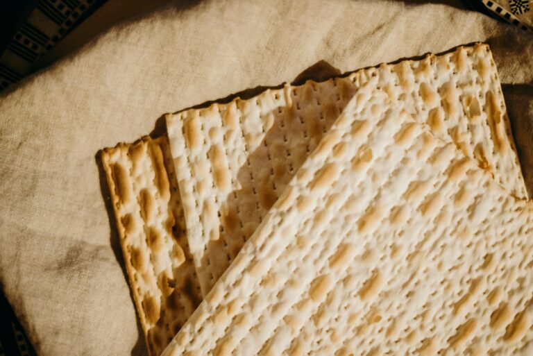 עשר המכות בתהליך חיפוש עבודה